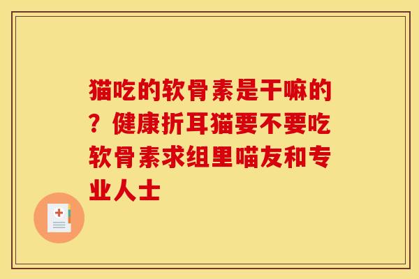 猫吃的软骨素是干嘛的？健康折耳猫要不要吃软骨素求组里喵友和专业人士