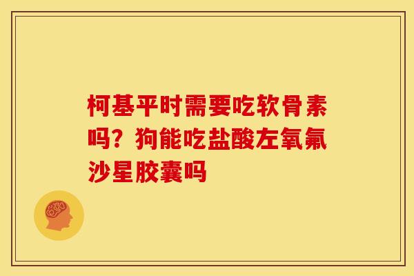 柯基平时需要吃软骨素吗？狗能吃盐酸左氧氟沙星胶囊吗