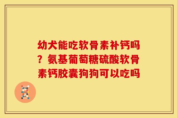 幼犬能吃软骨素补钙吗？氨基葡萄糖硫酸软骨素钙胶囊狗狗可以吃吗