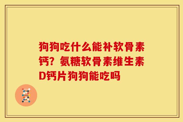 狗狗吃什么能补软骨素钙？氨糖软骨素维生素D钙片狗狗能吃吗