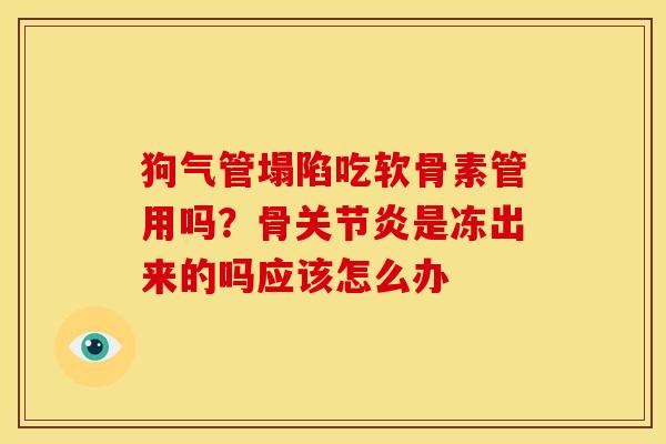 狗气管塌陷吃软骨素管用吗？骨关节炎是冻出来的吗应该怎么办