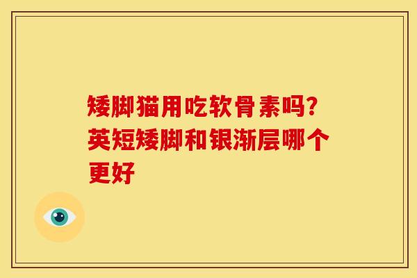 矮脚猫用吃软骨素吗？英短矮脚和银渐层哪个更好