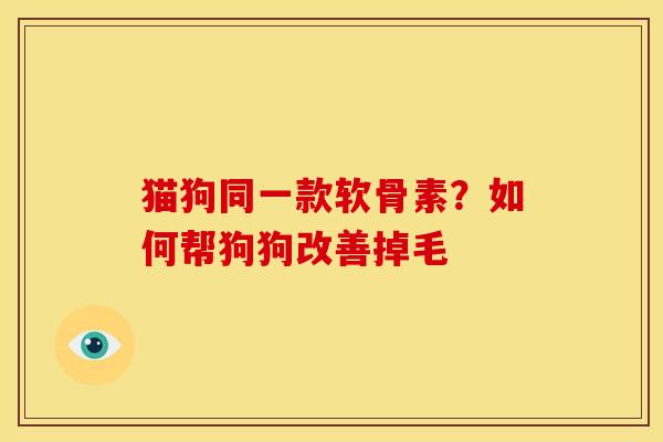 猫狗同一款软骨素？如何帮狗狗改善掉毛