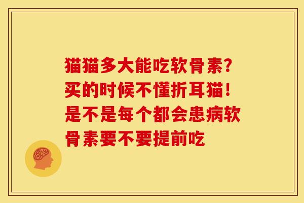 猫猫多大能吃软骨素？买的时候不懂折耳猫！是不是每个都会患病软骨素要不要提前吃