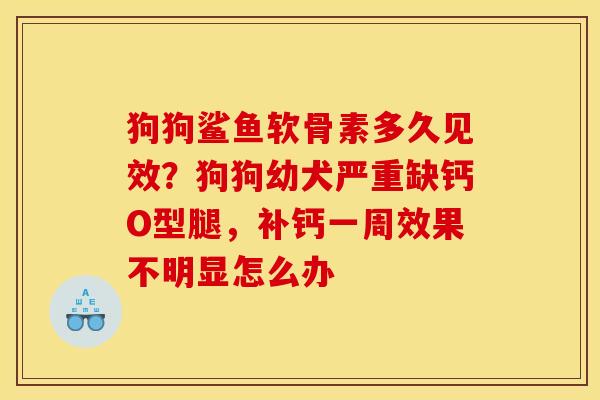 狗狗鲨鱼软骨素多久见效？狗狗幼犬严重缺钙O型腿，补钙一周效果不明显怎么办