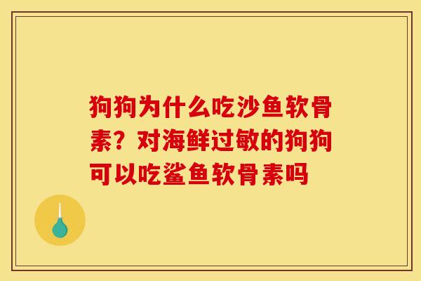 狗狗为什么吃沙鱼软骨素？对海鲜过敏的狗狗可以吃鲨鱼软骨素吗