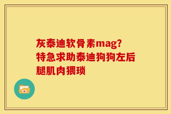 灰泰迪软骨素mag？特急求助泰迪狗狗左后腿肌肉猥琐