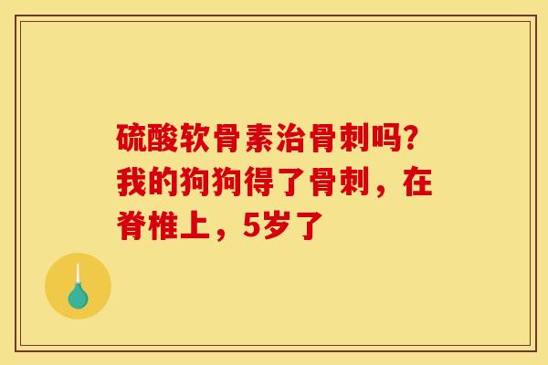 硫酸软骨素治骨刺吗？我的狗狗得了骨刺，在脊椎上，5岁了