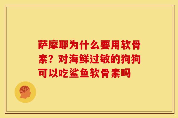 萨摩耶为什么要用软骨素？对海鲜过敏的狗狗可以吃鲨鱼软骨素吗
