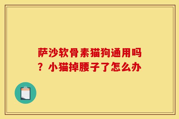 萨沙软骨素猫狗通用吗？小猫掉腰子了怎么办