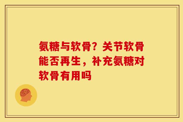 氨糖与软骨？关节软骨能否再生，补充氨糖对软骨有用吗