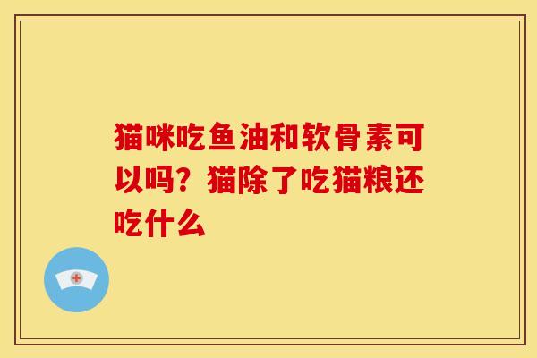 猫咪吃鱼油和软骨素可以吗？猫除了吃猫粮还吃什么