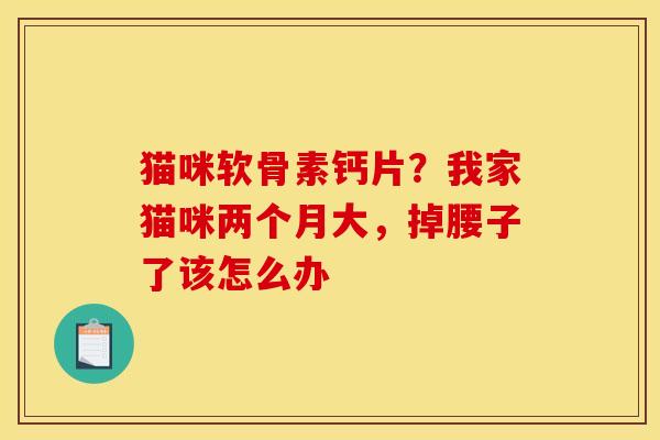 猫咪软骨素钙片？我家猫咪两个月大，掉腰子了该怎么办