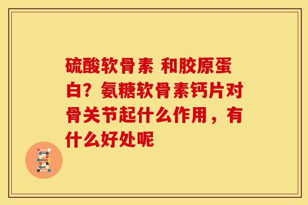 硫酸软骨素 和胶原蛋白？氨糖软骨素钙片对骨关节起什么作用，有什么好处呢