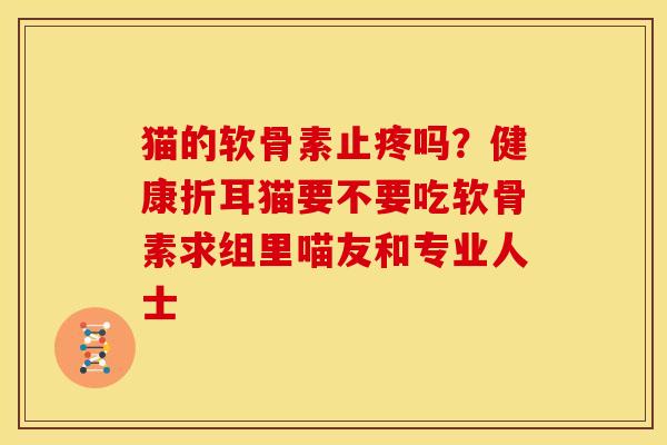 猫的软骨素止疼吗？健康折耳猫要不要吃软骨素求组里喵友和专业人士