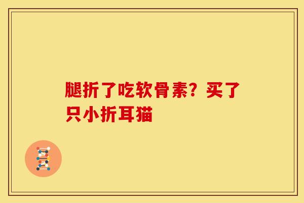 腿折了吃软骨素？买了只小折耳猫