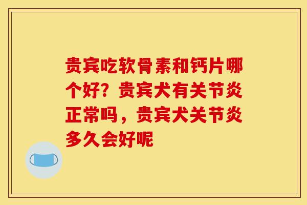 贵宾吃软骨素和钙片哪个好？贵宾犬有关节炎正常吗，贵宾犬关节炎多久会好呢