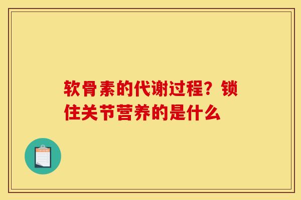 软骨素的代谢过程？锁住关节营养的是什么