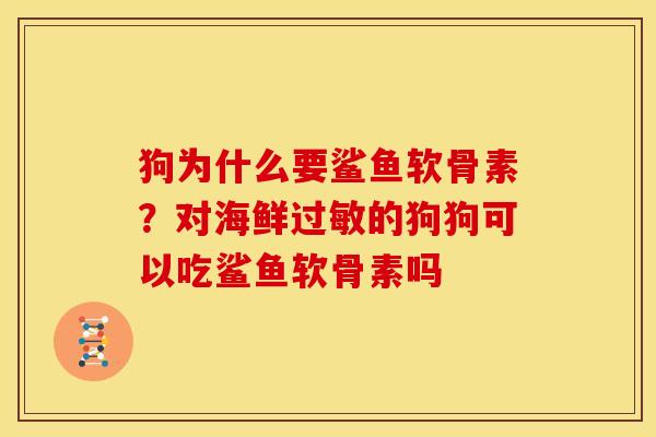 狗为什么要鲨鱼软骨素？对海鲜过敏的狗狗可以吃鲨鱼软骨素吗
