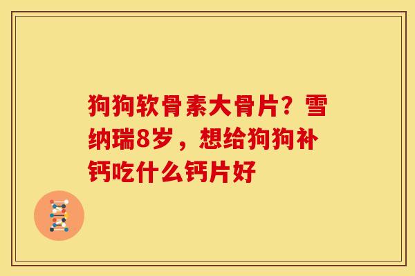 狗狗软骨素大骨片？雪纳瑞8岁，想给狗狗补钙吃什么钙片好