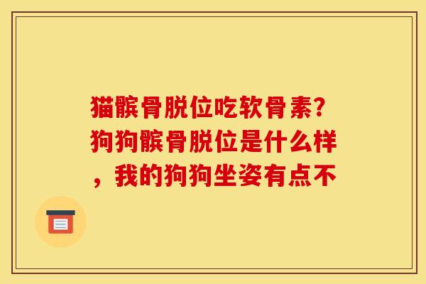 猫髌骨脱位吃软骨素？狗狗髌骨脱位是什么样，我的狗狗坐姿有点不