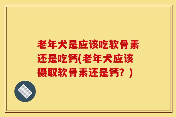 老年犬是应该吃软骨素还是吃钙(老年犬应该摄取软骨素还是钙？)