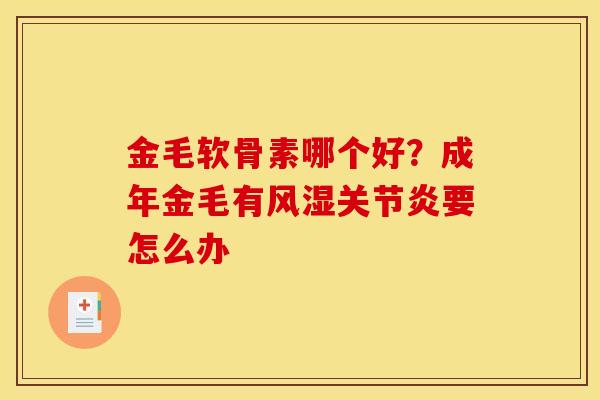 金毛软骨素哪个好？成年金毛有风湿关节炎要怎么办