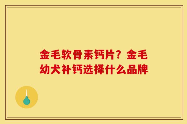 金毛软骨素钙片？金毛幼犬补钙选择什么品牌