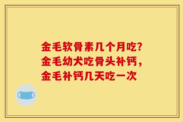 金毛软骨素几个月吃？金毛幼犬吃骨头补钙，金毛补钙几天吃一次