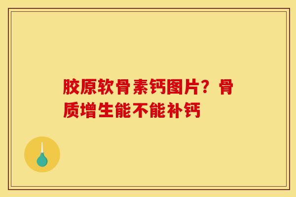 胶原软骨素钙图片？骨质增生能不能补钙