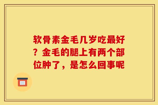 软骨素金毛几岁吃最好？金毛的腿上有两个部位肿了，是怎么回事呢