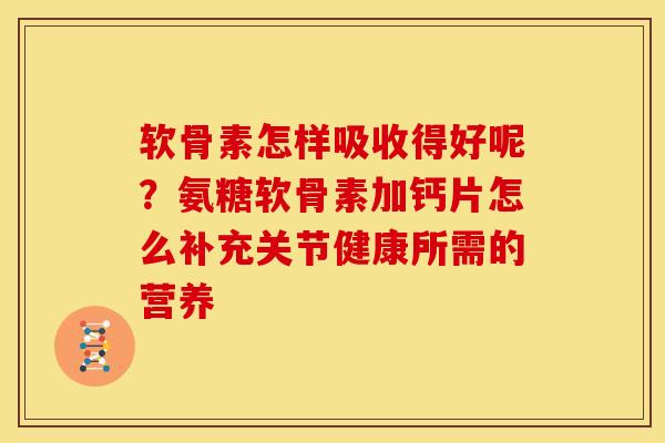 软骨素怎样吸收得好呢？氨糖软骨素加钙片怎么补充关节健康所需的营养