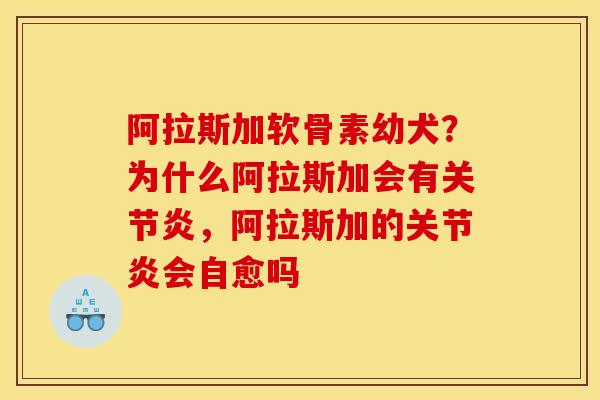 阿拉斯加软骨素幼犬？为什么阿拉斯加会有关节炎，阿拉斯加的关节炎会自愈吗