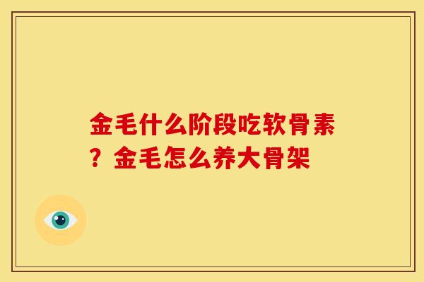 金毛什么阶段吃软骨素？金毛怎么养大骨架