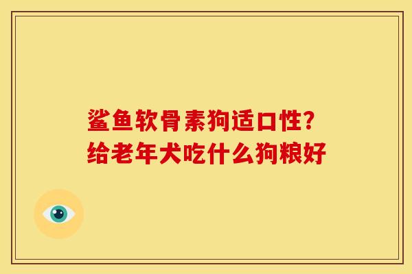 鲨鱼软骨素狗适口性？给老年犬吃什么狗粮好