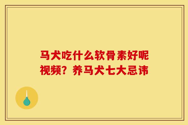 马犬吃什么软骨素好呢视频？养马犬七大忌讳
