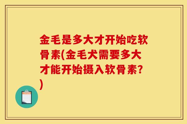 金毛是多大才开始吃软骨素(金毛犬需要多大才能开始摄入软骨素？)