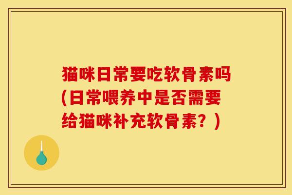 猫咪日常要吃软骨素吗(日常喂养中是否需要给猫咪补充软骨素？)