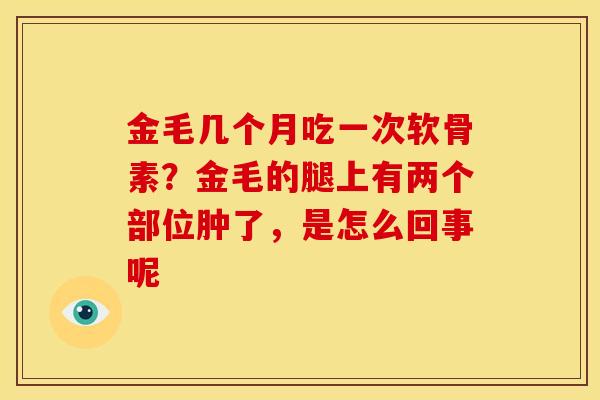 金毛几个月吃一次软骨素？金毛的腿上有两个部位肿了，是怎么回事呢