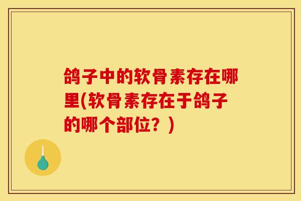 鸽子中的软骨素存在哪里(软骨素存在于鸽子的哪个部位？)