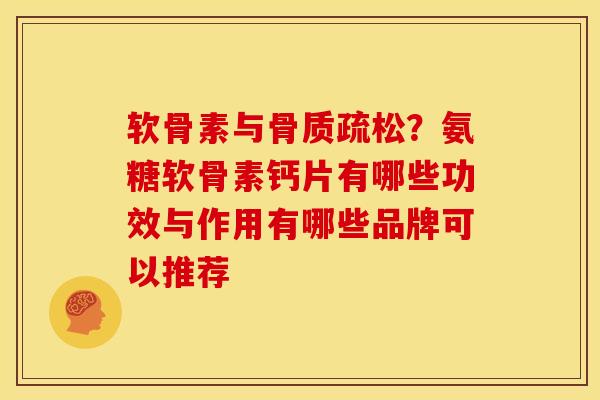 软骨素与骨质疏松？氨糖软骨素钙片有哪些功效与作用有哪些品牌可以推荐