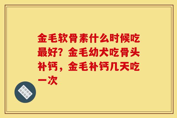 金毛软骨素什么时候吃最好？金毛幼犬吃骨头补钙，金毛补钙几天吃一次