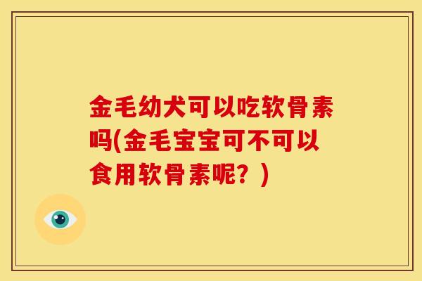 金毛幼犬可以吃软骨素吗(金毛宝宝可不可以食用软骨素呢？)