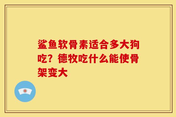 鲨鱼软骨素适合多大狗吃？德牧吃什么能使骨架变大