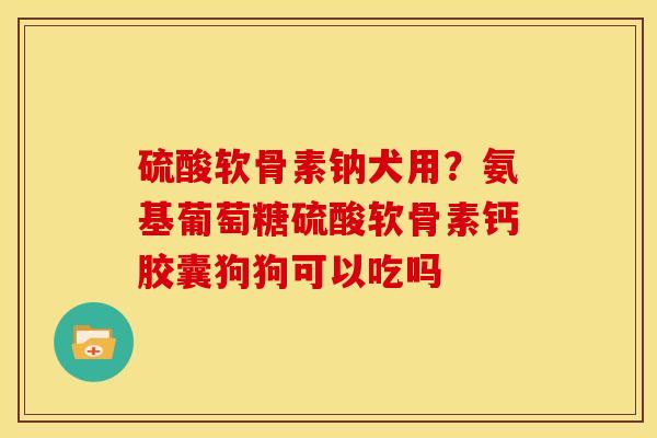 硫酸软骨素钠犬用？氨基葡萄糖硫酸软骨素钙胶囊狗狗可以吃吗