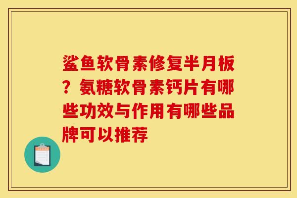 鲨鱼软骨素修复半月板？氨糖软骨素钙片有哪些功效与作用有哪些品牌可以推荐