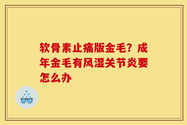 软骨素止痛版金毛？成年金毛有风湿关节炎要怎么办