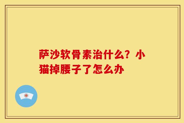 萨沙软骨素治什么？小猫掉腰子了怎么办