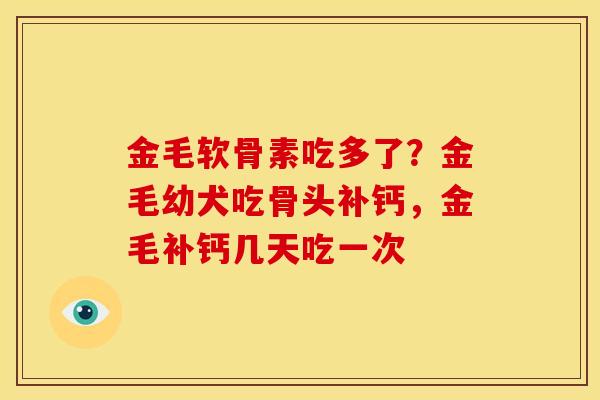 金毛软骨素吃多了？金毛幼犬吃骨头补钙，金毛补钙几天吃一次