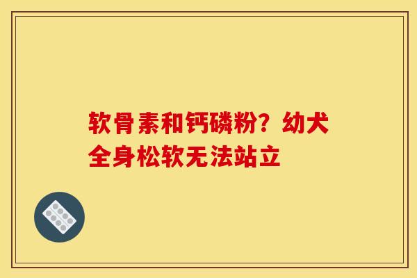 软骨素和钙磷粉？幼犬全身松软无法站立